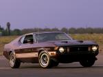 Ford Mustang Mach I 1973 года